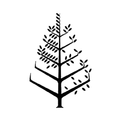 Four Seasons Hotel San Francisco Logo